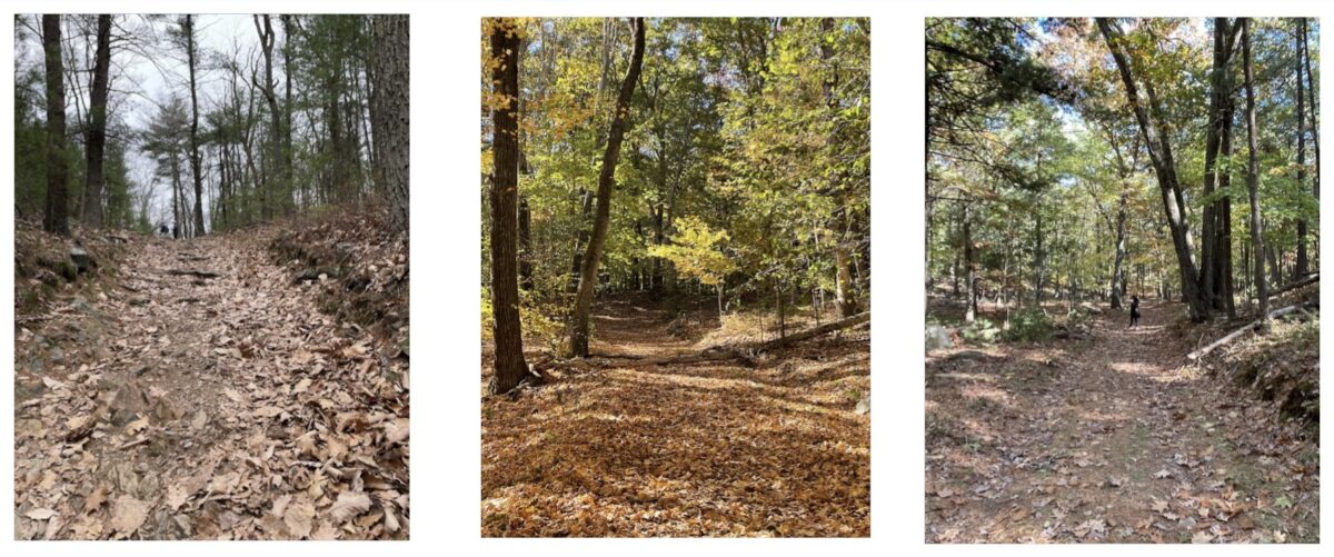 photos of a Blue Hills trail